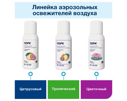 Аэрозольный освежитель воздуха, категория качества Стандарт, цветочный аромат, 100 мл, 611602