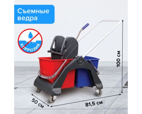 Тележка уборочная BRABIX, 2 съемных ведра 30 л, механический отжим, пластиковый каркас, фиксирующаяся ручка, 606661