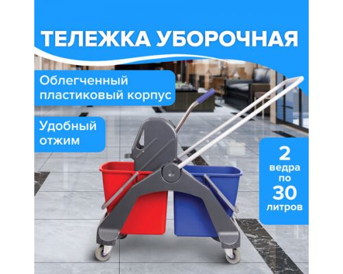 Тележка уборочная BRABIX, 2 съемных ведра 30 л, механический отжим, пластиковый каркас, фиксирующаяся ручка, 606661